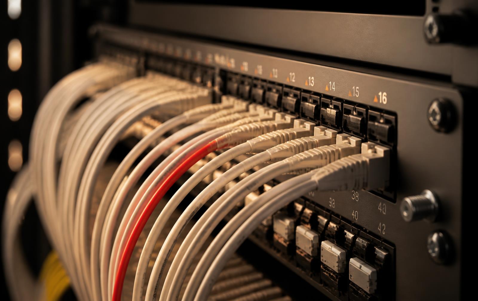 Patch panel with neatly routed network cables, one red cable among ivory cables